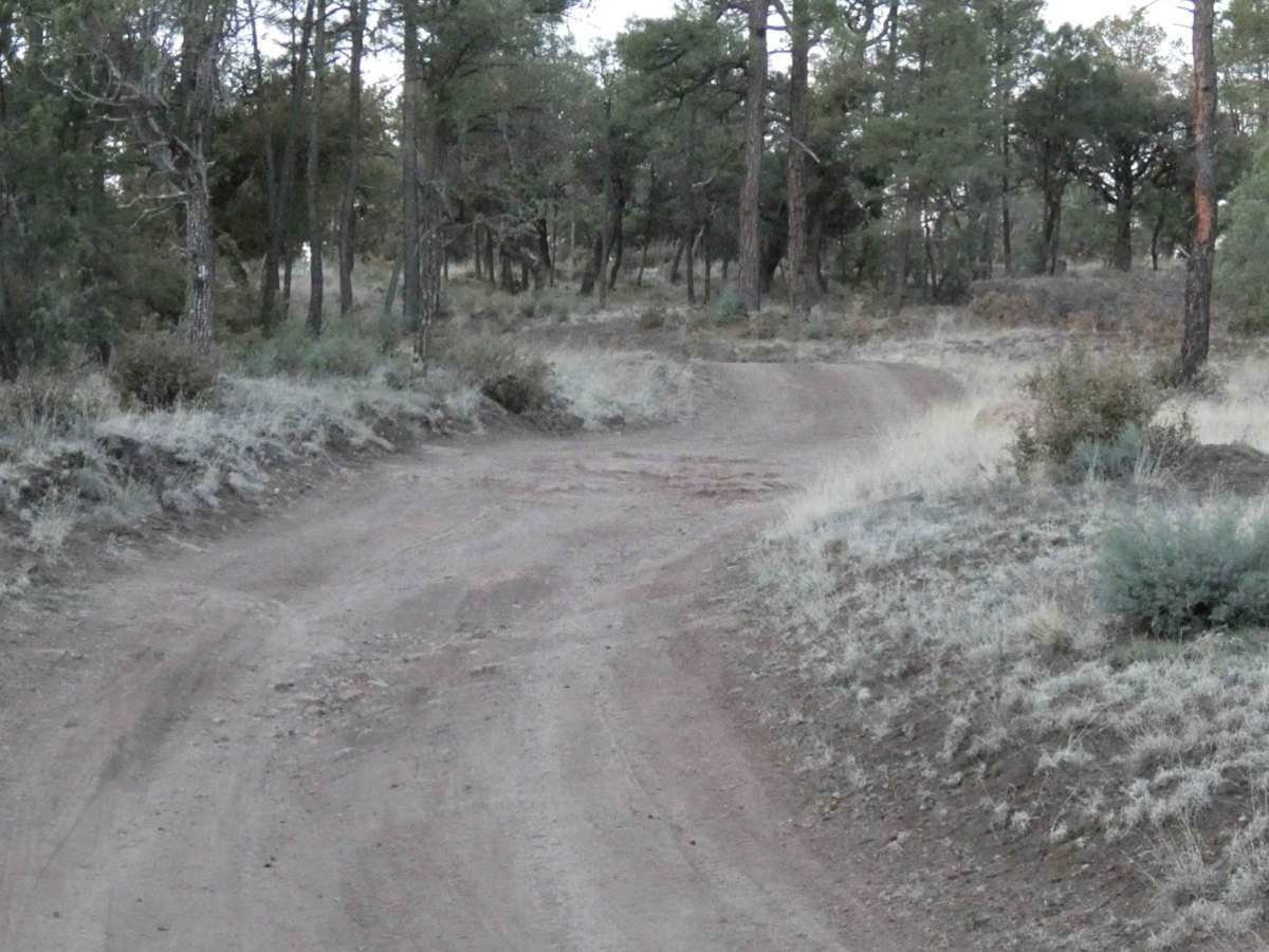 Elk Pasture photo 5