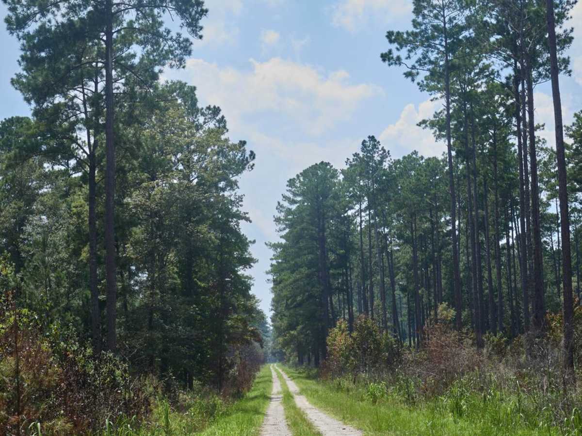 Horseshoe Loop photo 2