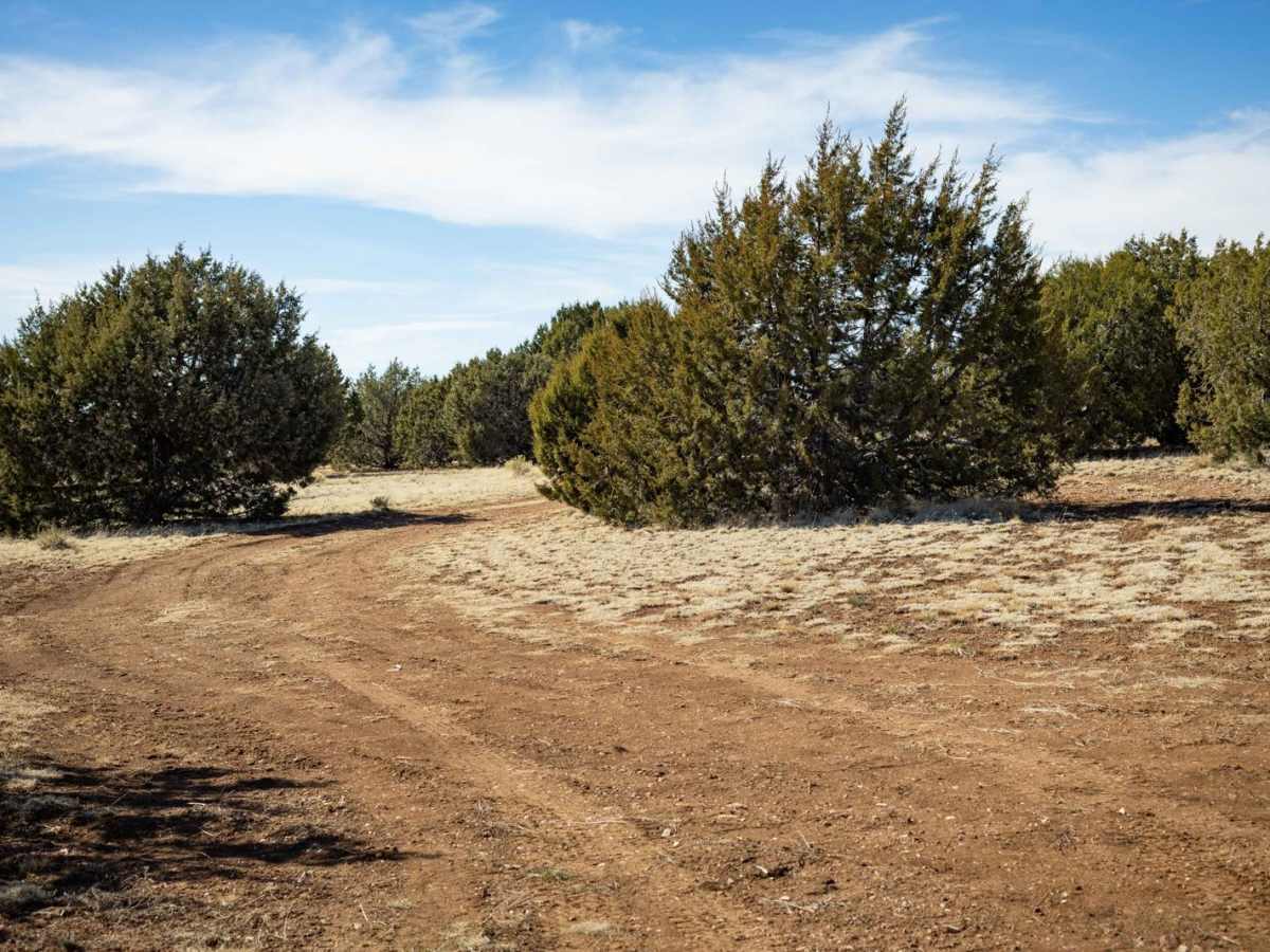 Rocky Pasture trail photo
