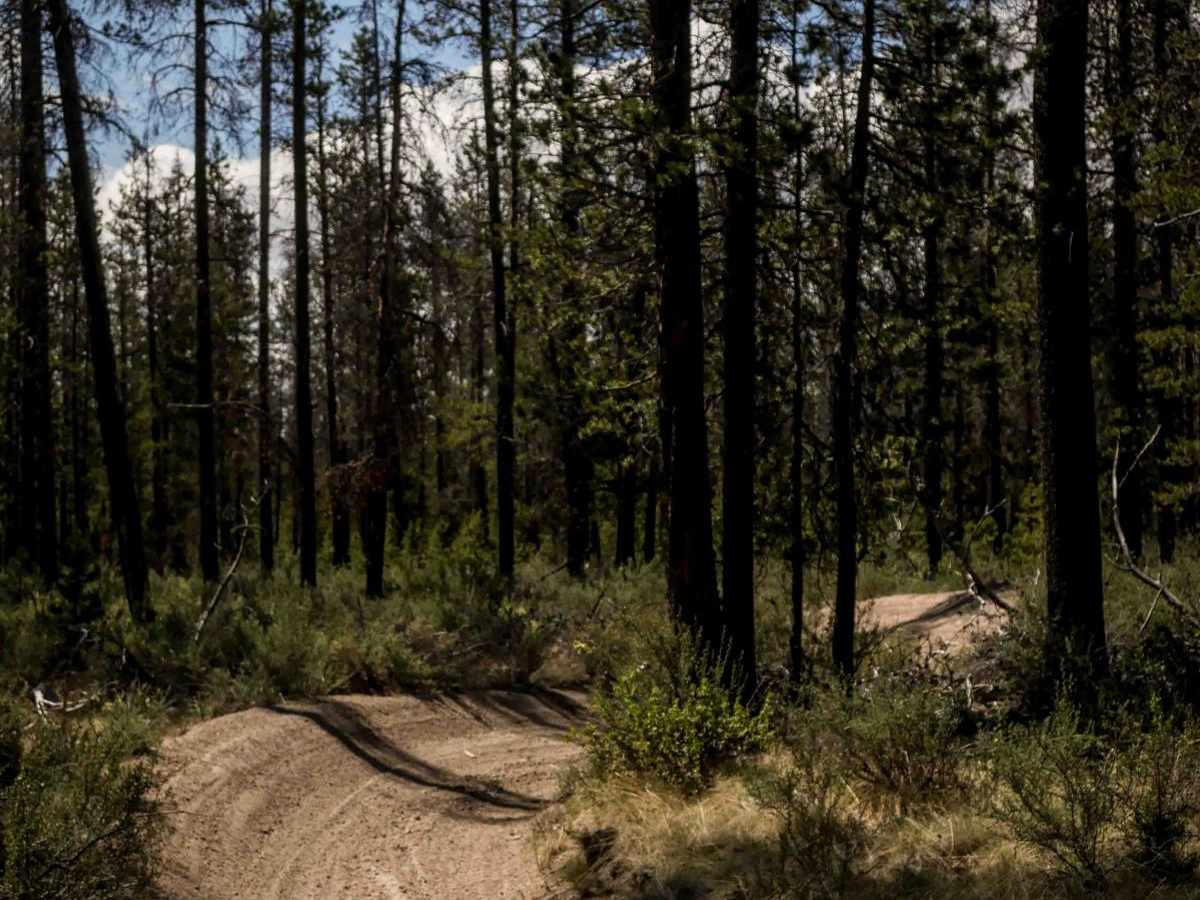 64 trail photo