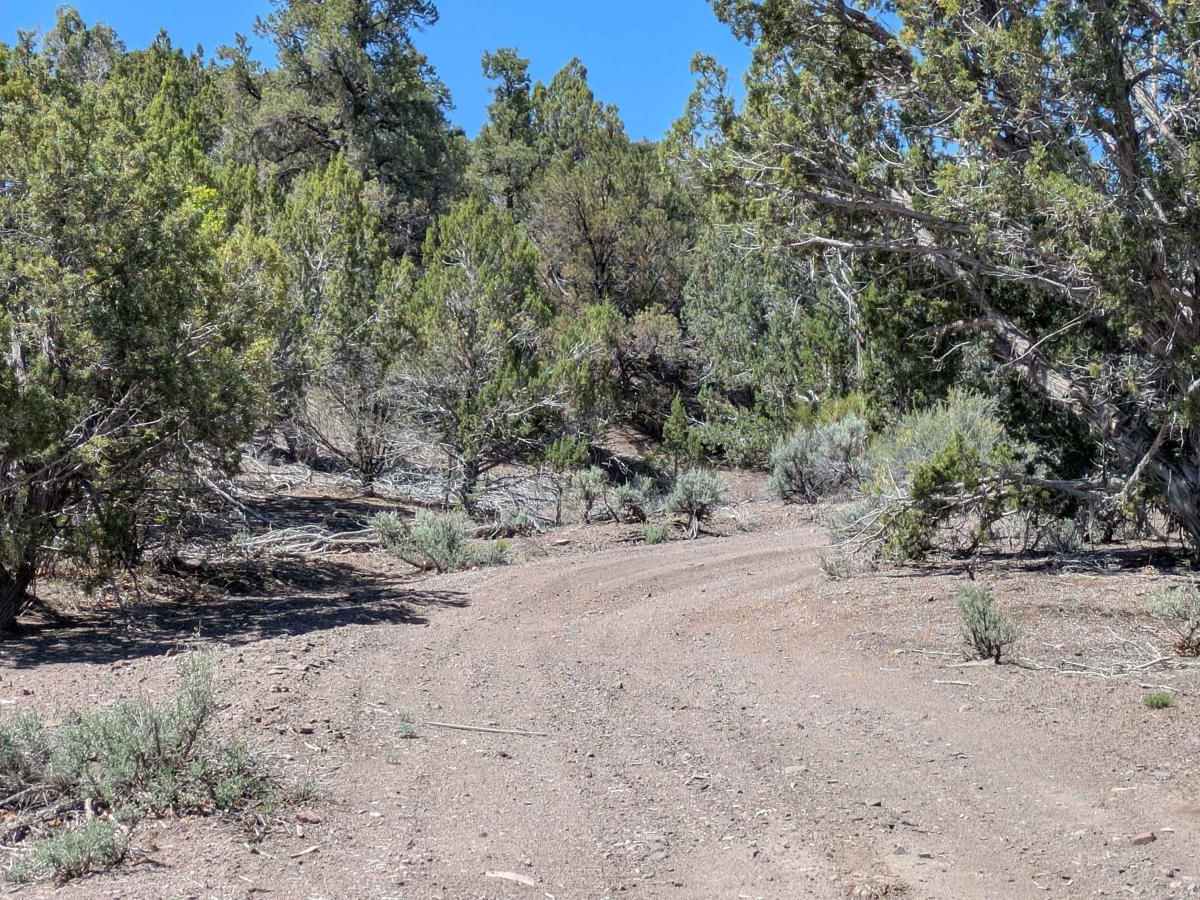 Miner's Ridge BLM30741 photo 3