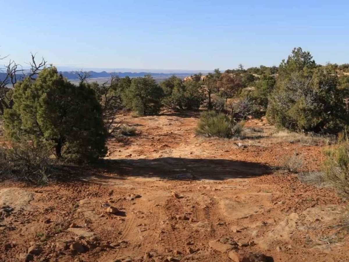 Baulie's Road - San Juan County B236 photo 6
