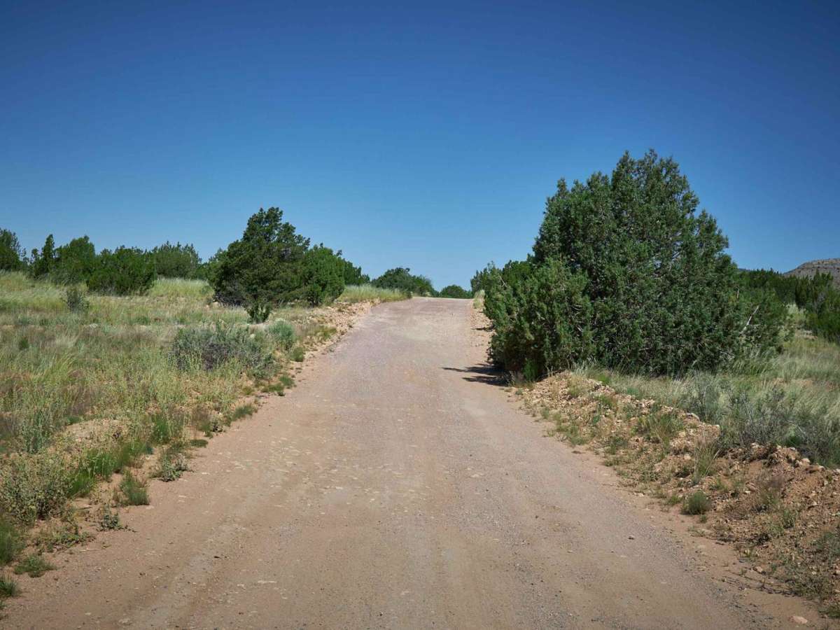 Spring Canyon photo 5