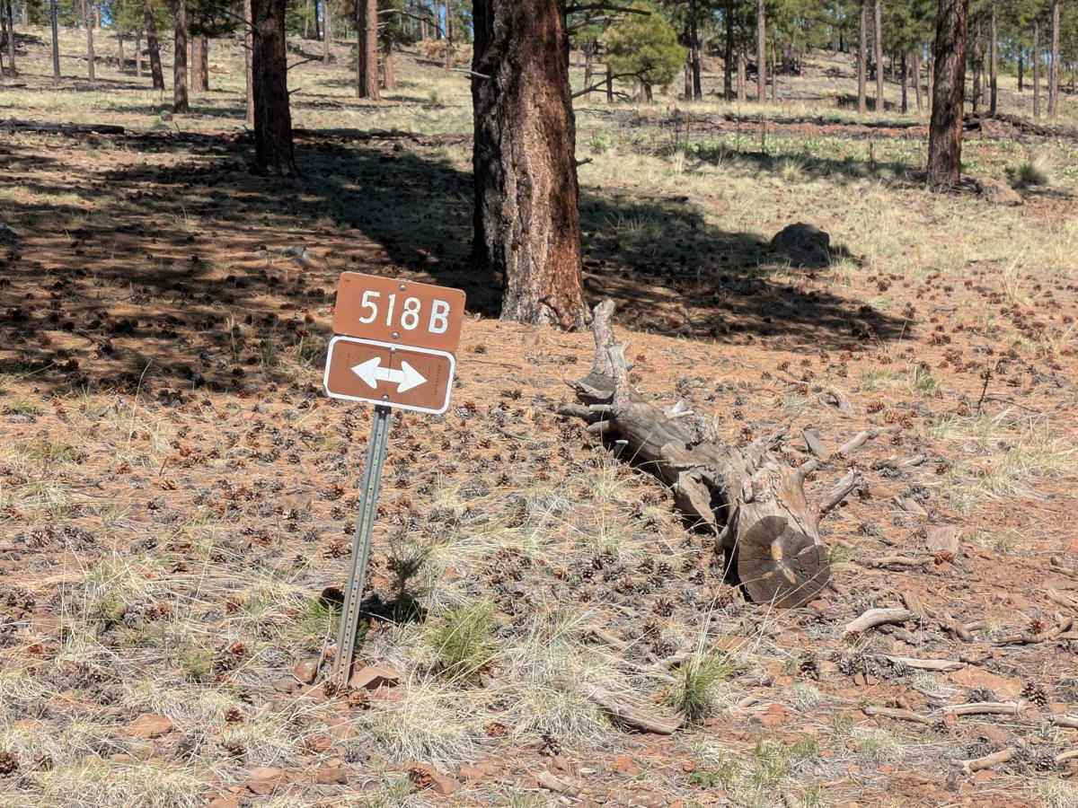 A1 Mountain Road Loop - FS 918B photo 4