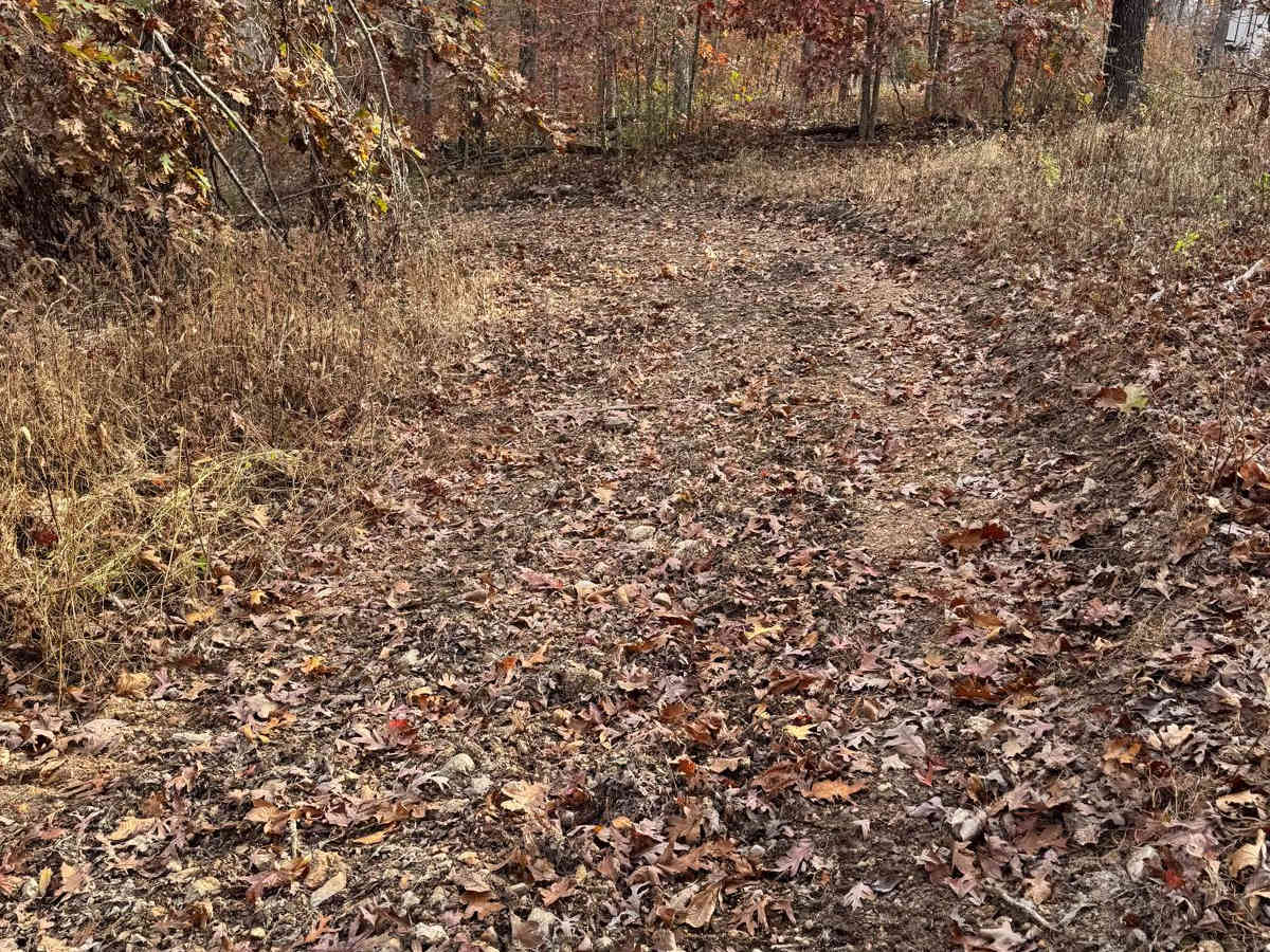 Green 189 photo 3