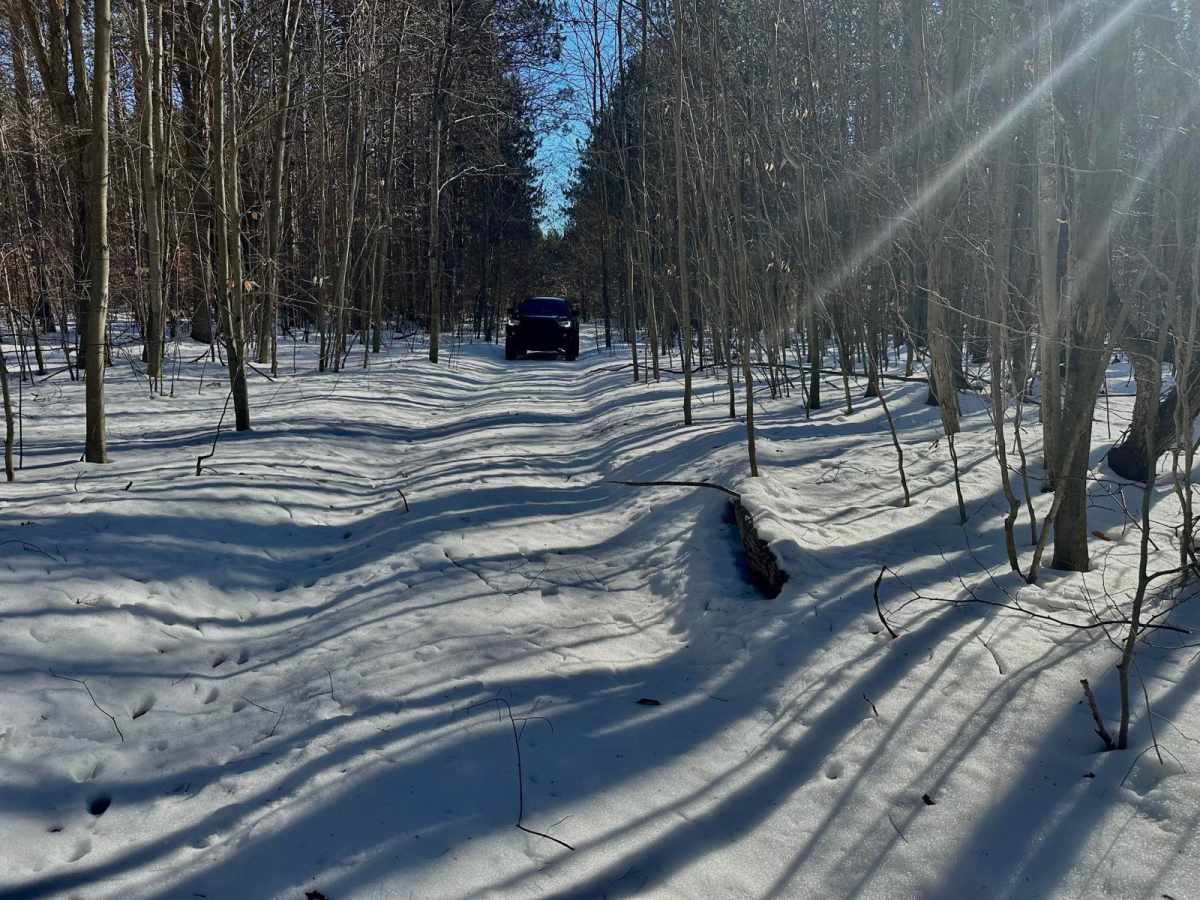 Deer Track Trail photo 3