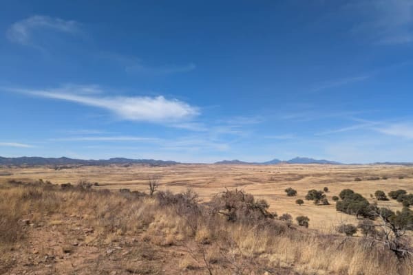 Jones Road - FR766