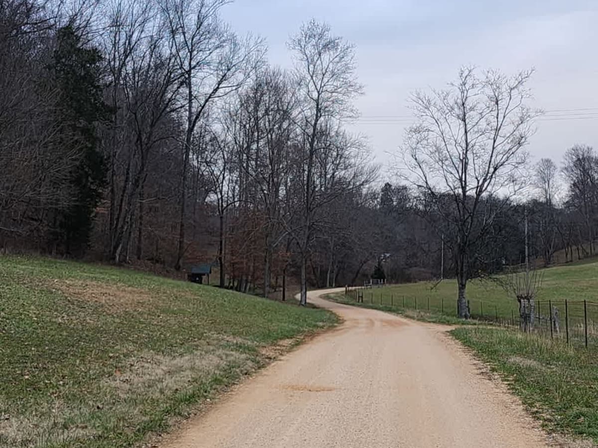 Web Hollow Road photo 3