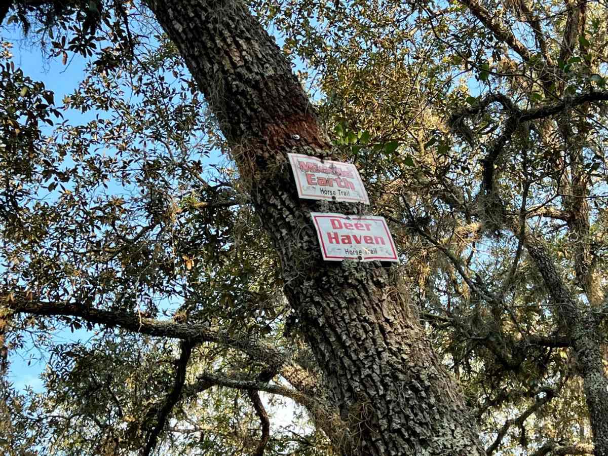 Citrus Wildlife Management | Trail 8 photo 6