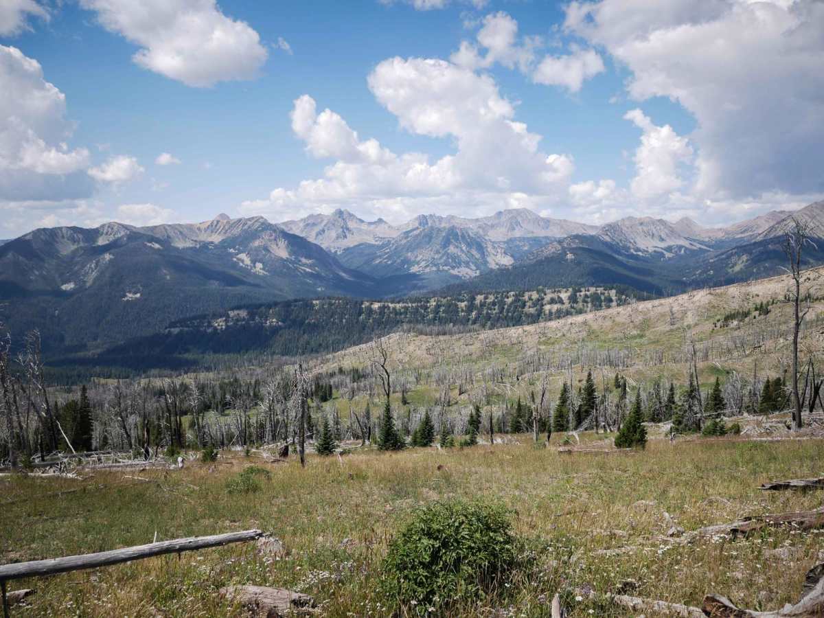Cabin Creek trail photo
