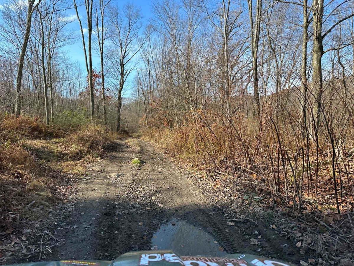 Ashland 167 photo 2
