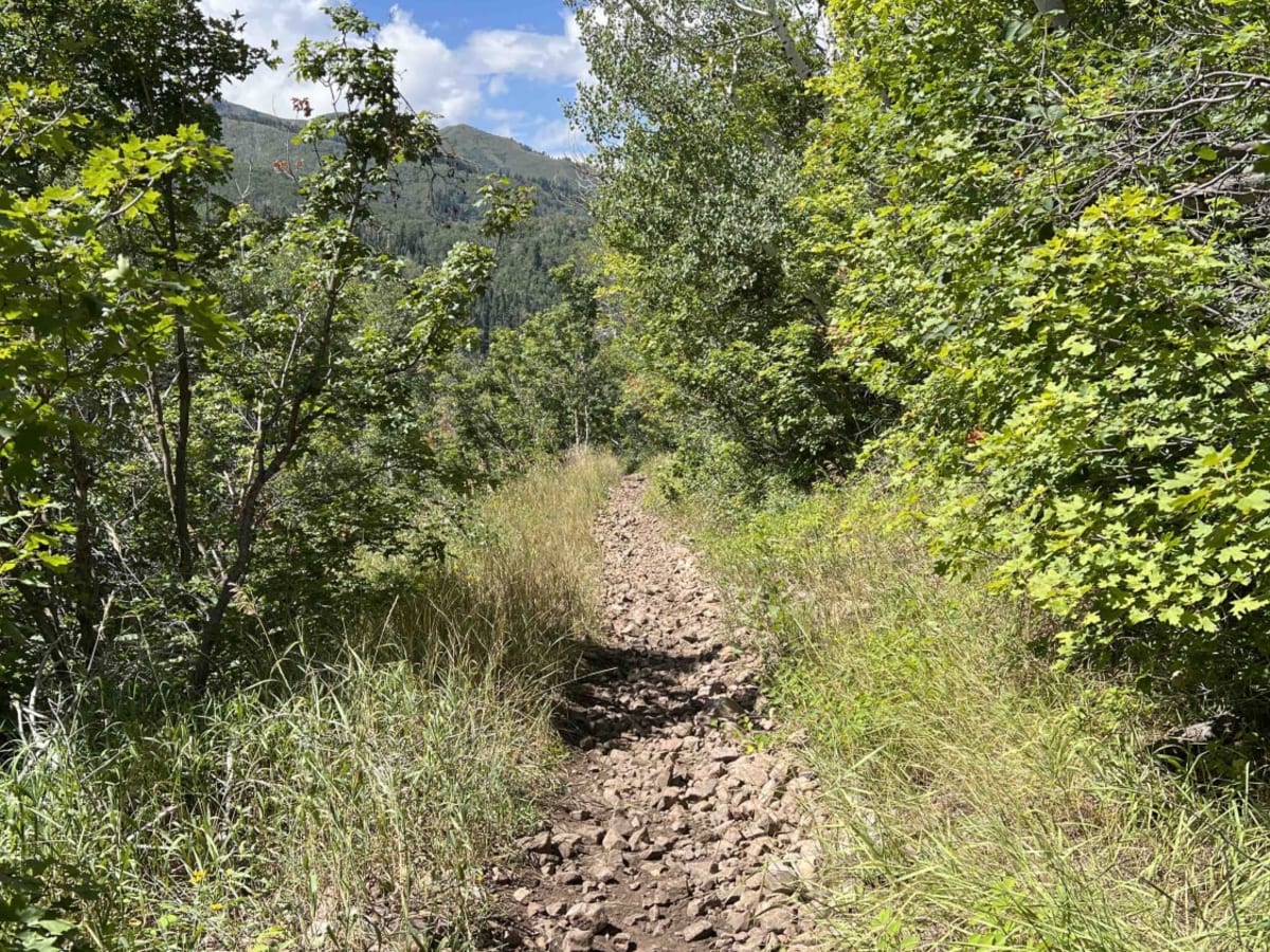 Left Fork Maple Canyon (8006) photo 3