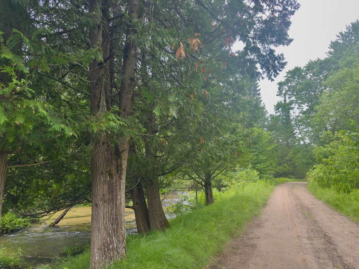 South Jordan River Road trail photo