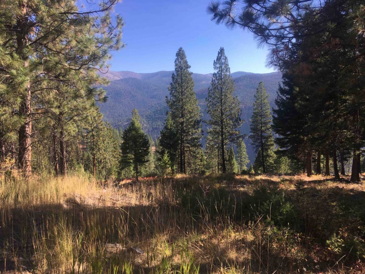 Tepee Creek - 13314 (East Portion) photo 5