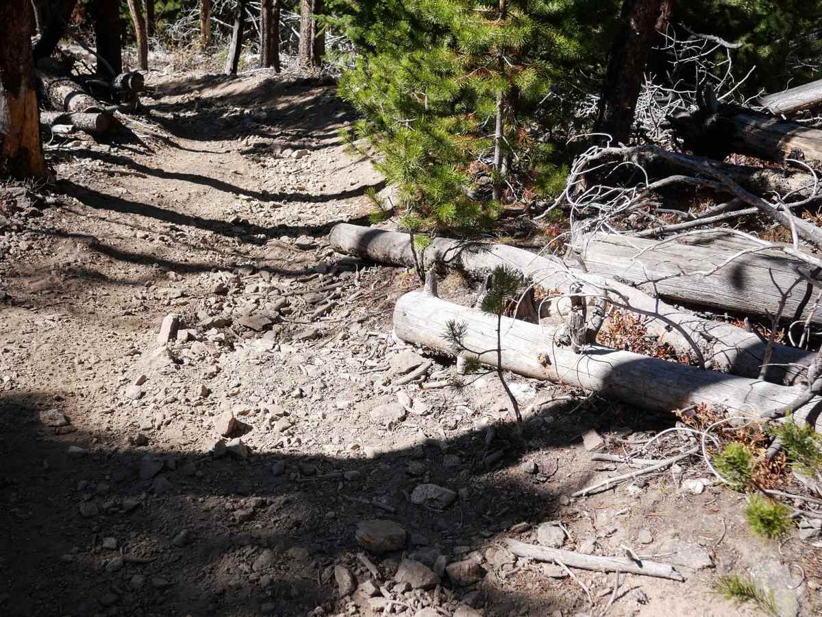 Upper Elk Creek ATV photo 3