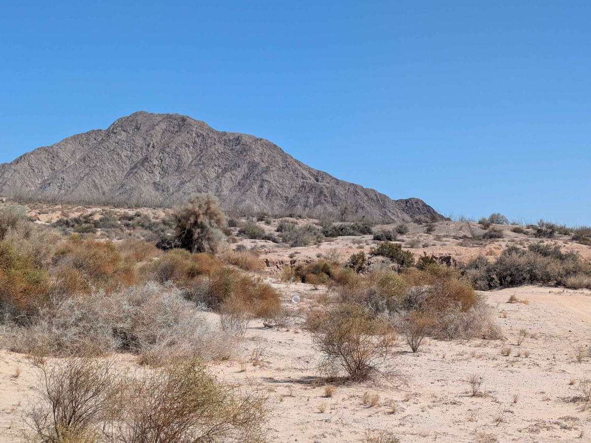 Playa Blanca Wash Loop photo 4