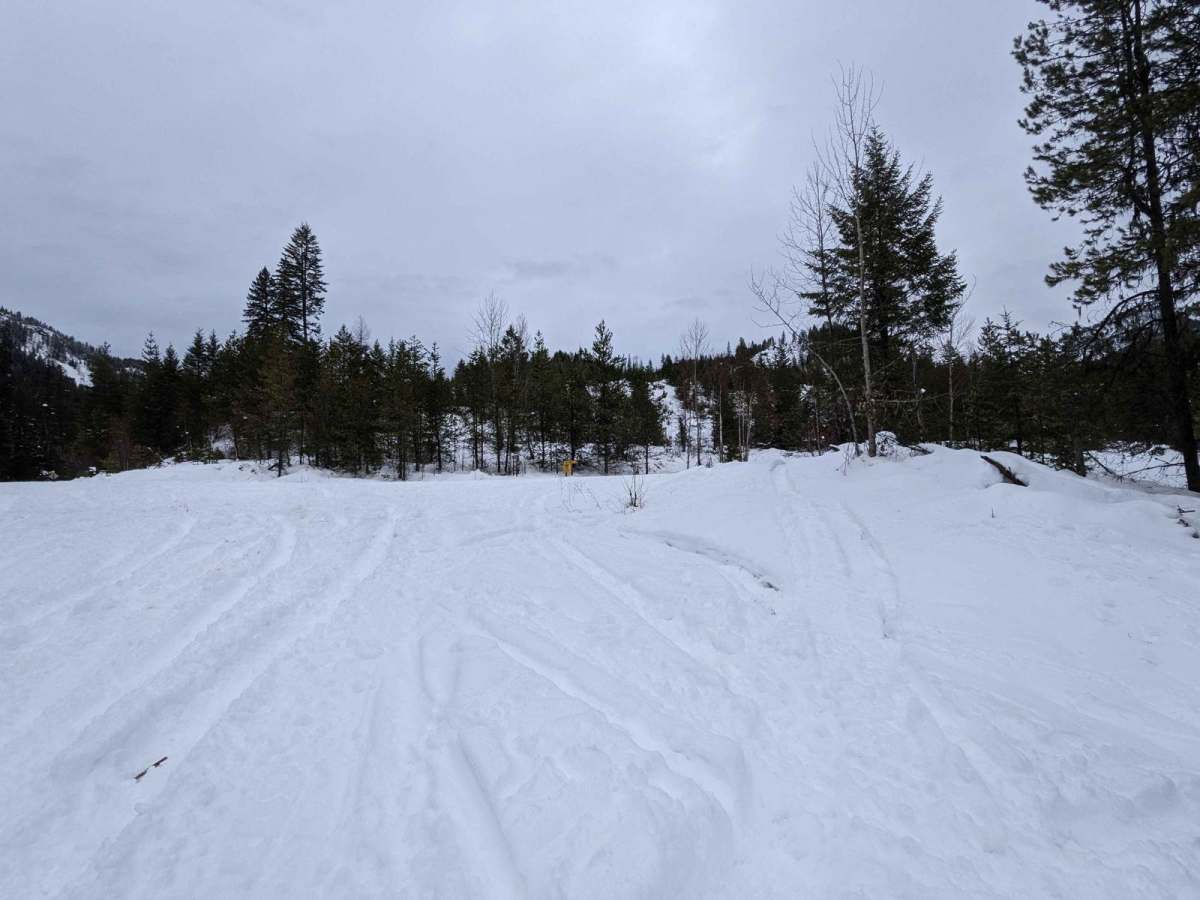 Goat River FSR photo 6