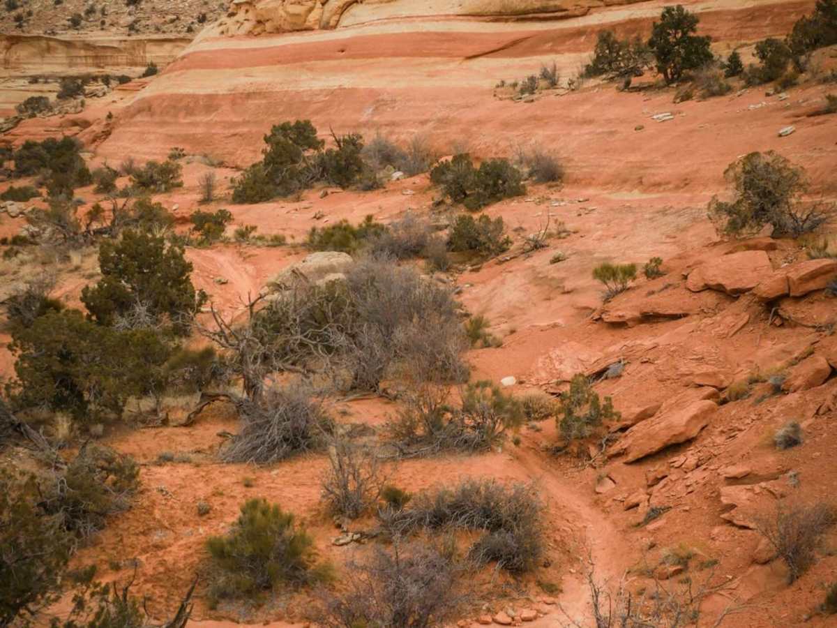 Trail 8 photo 4