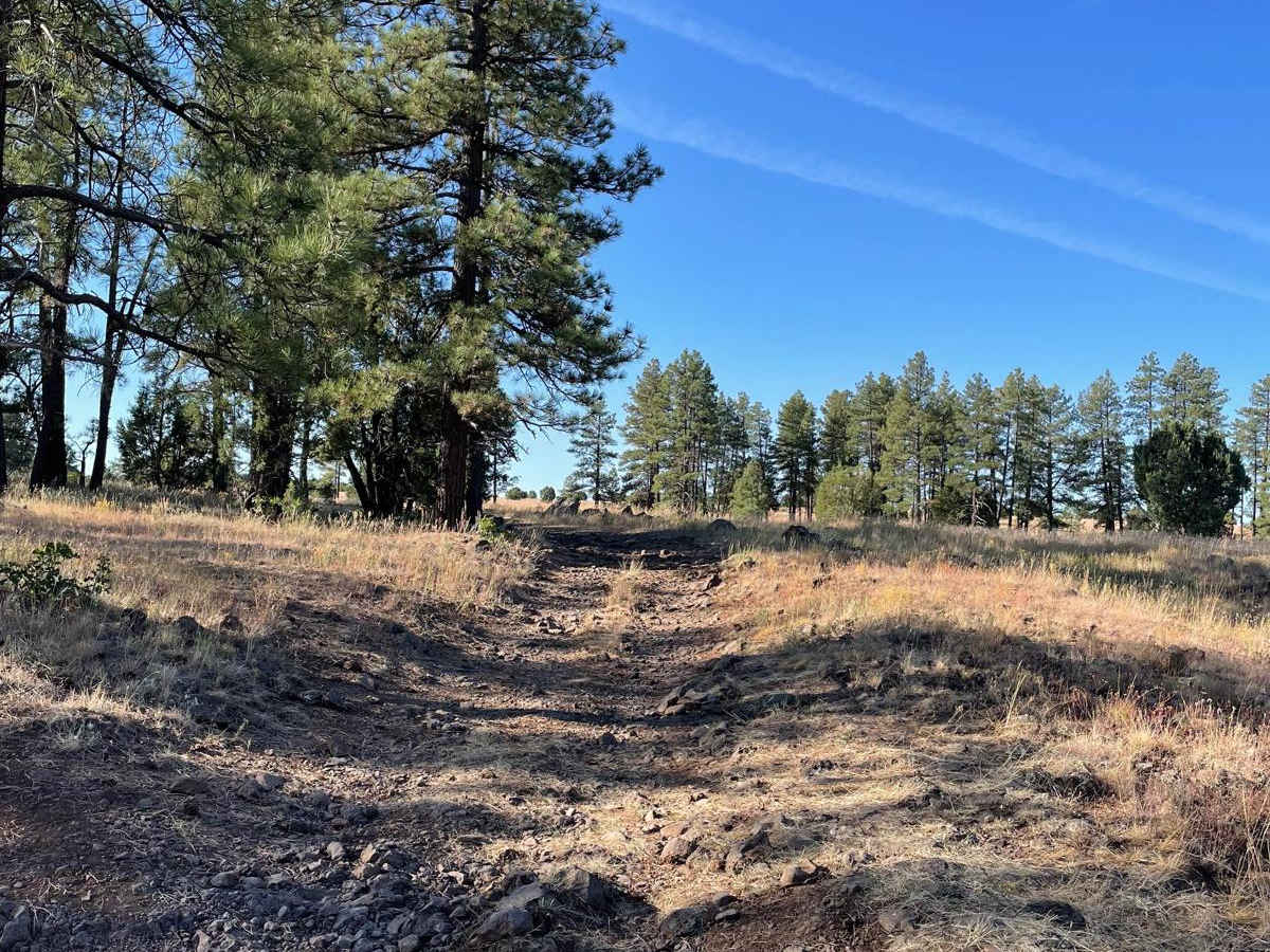 West FS 229 photo 3