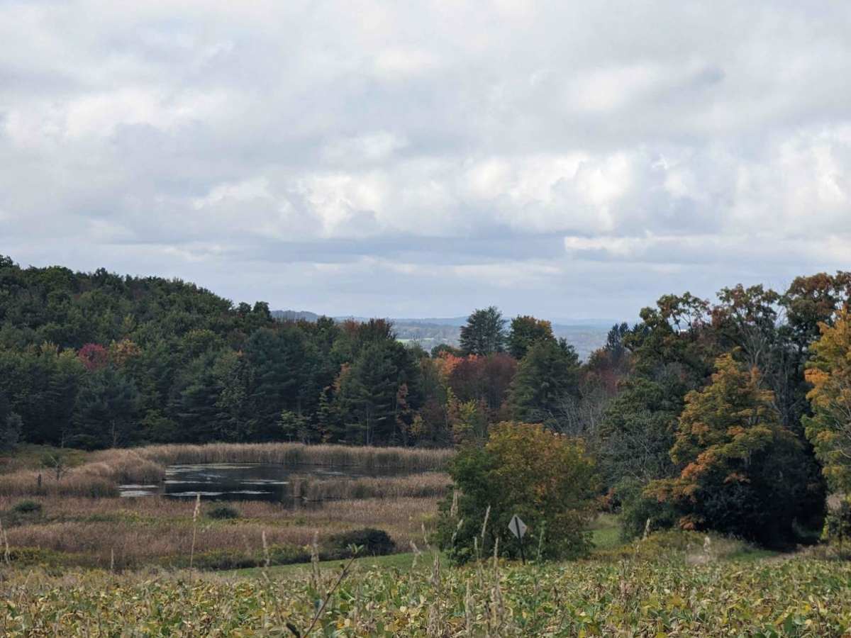 Mills and Platt Hill Road photo 4