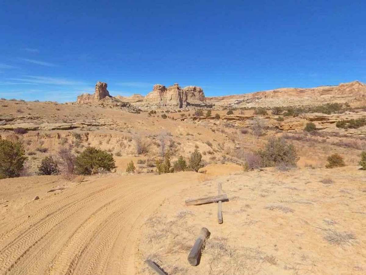 Devils Racetrack-BLM639 photo 3