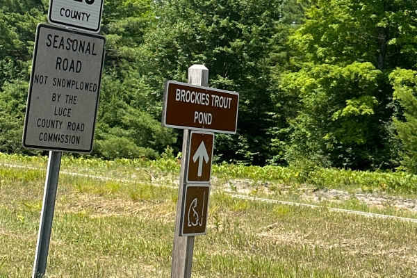 Brockies Trout Pond