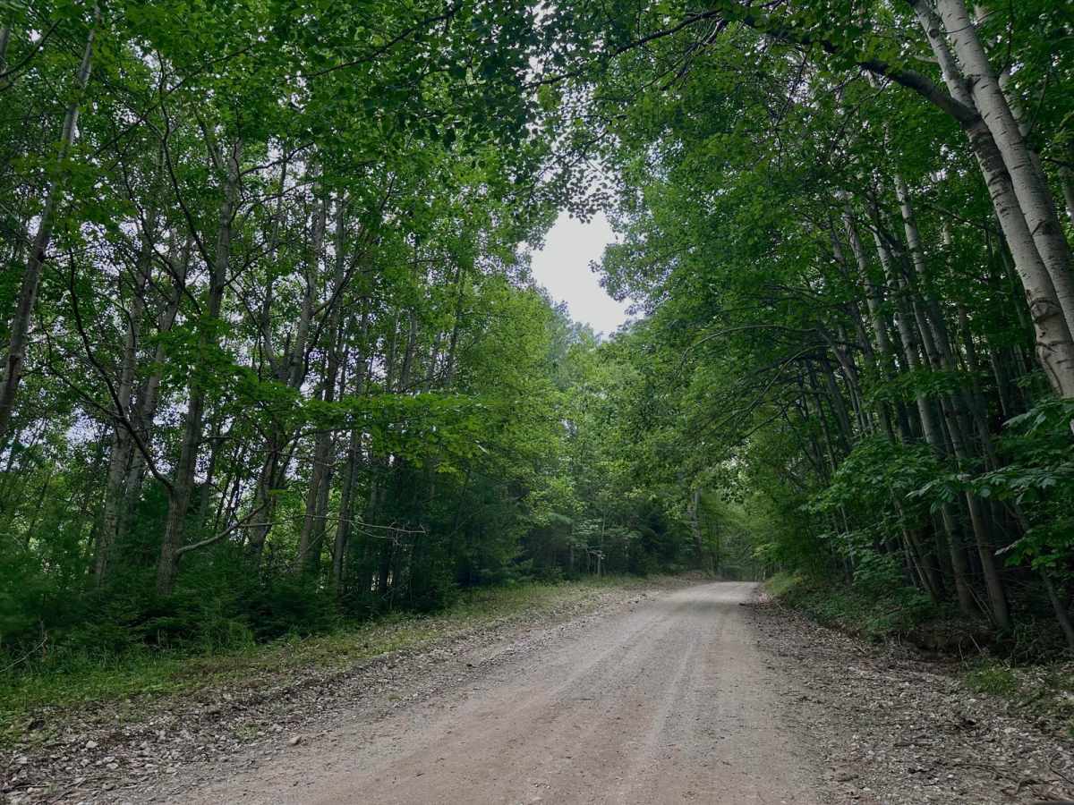 South Thoreson Road photo 5