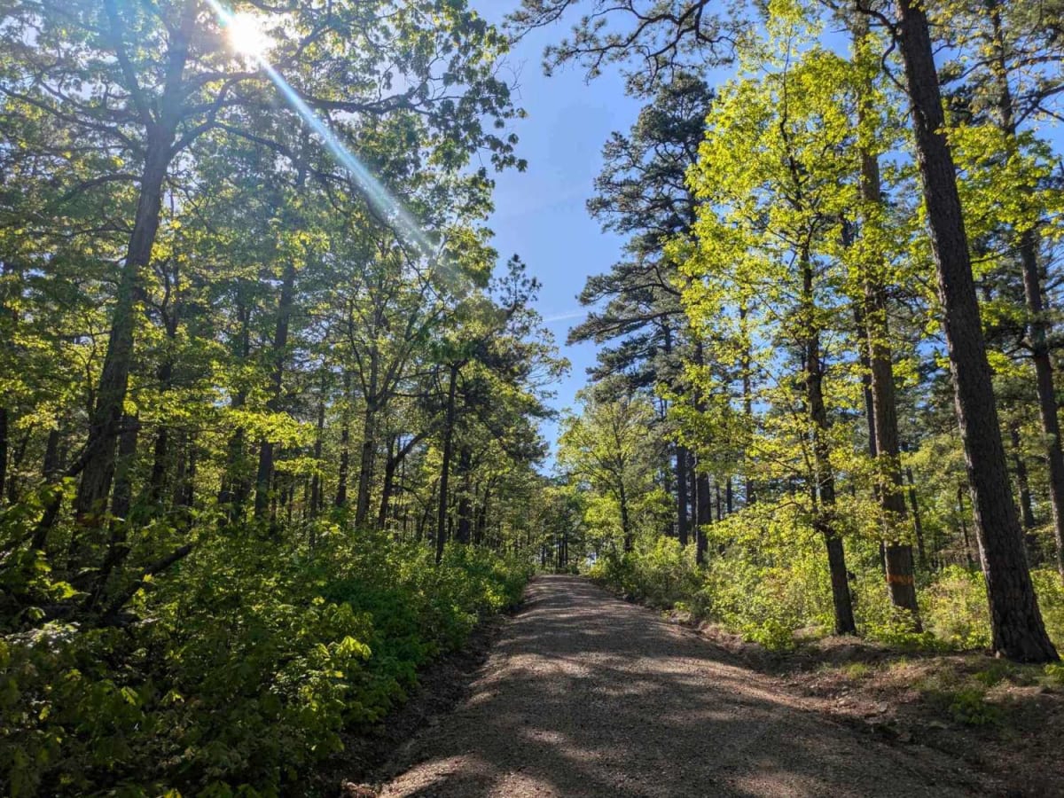 Terrapin Creek Road photo 5