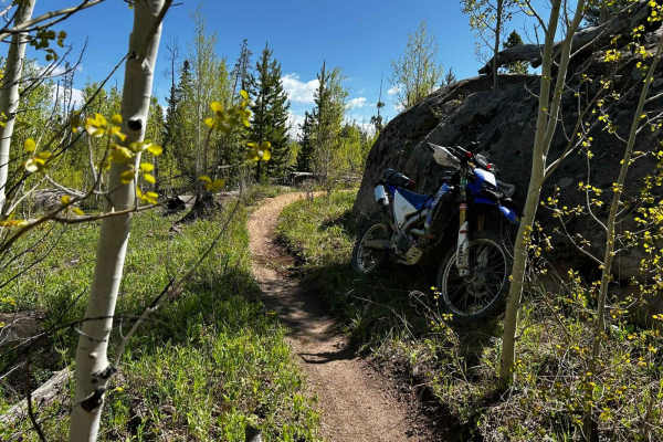 Snyder Creek Loop North Central
