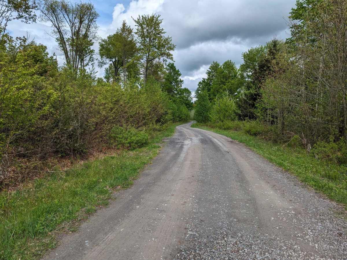 Barclay Road trail photo