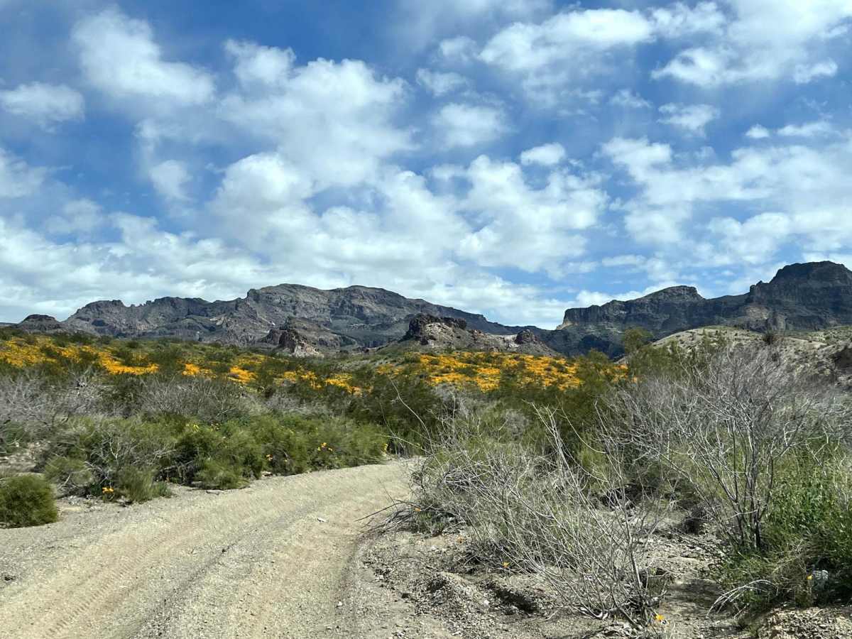 AZ Peace Trail Segment Lake Havasu to Kingman photo 5