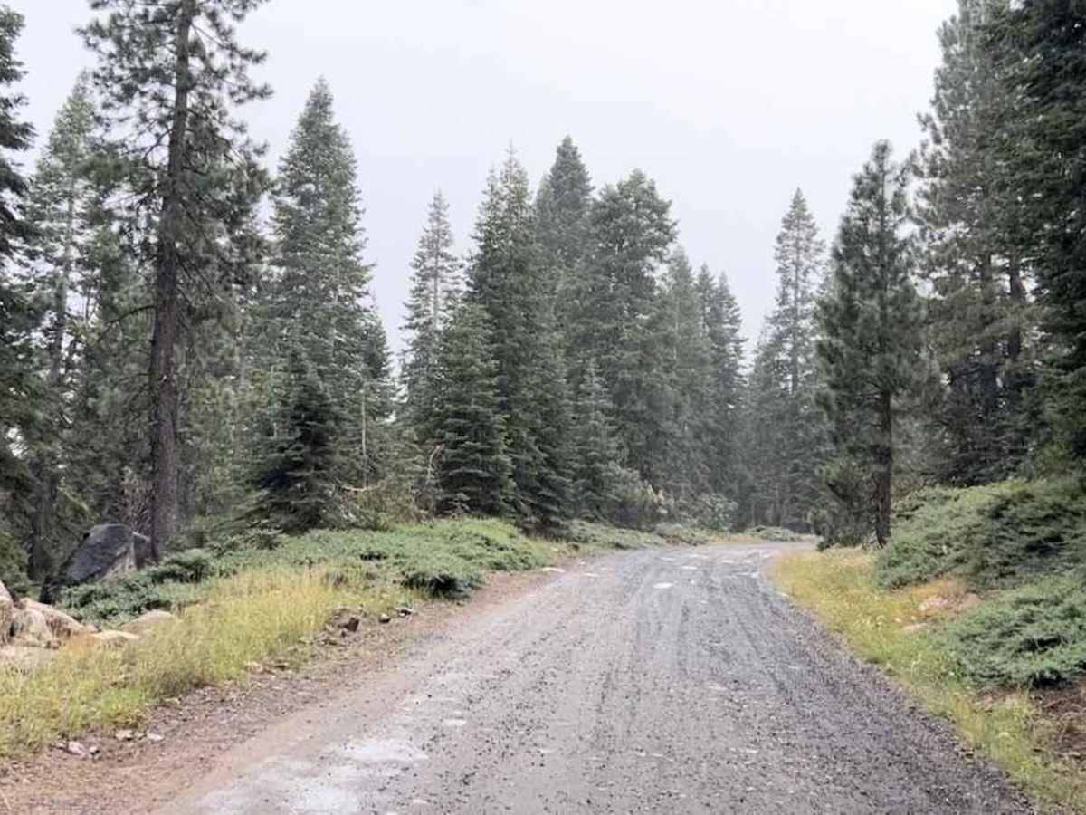 Gooseberry trail photo