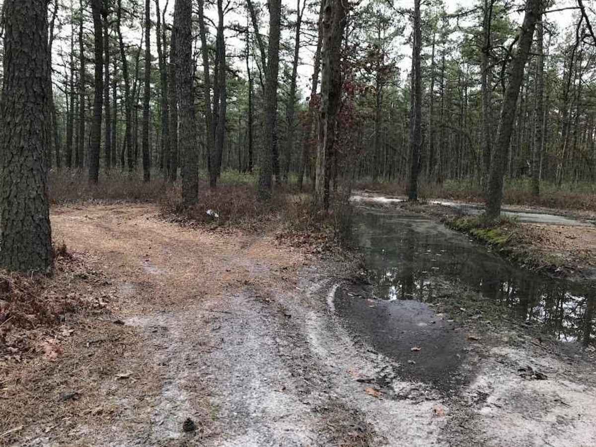 Eagle Trail photo 5