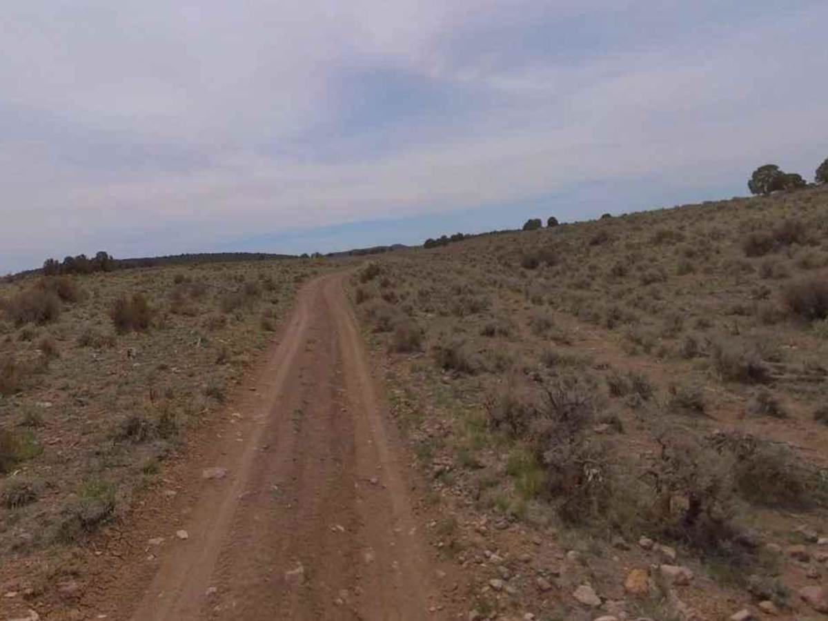 Dixie National Forest-FR31007 photo 5