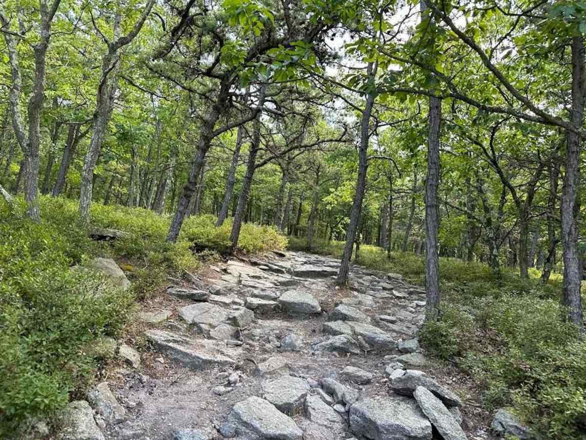 28 Red - B trail photo