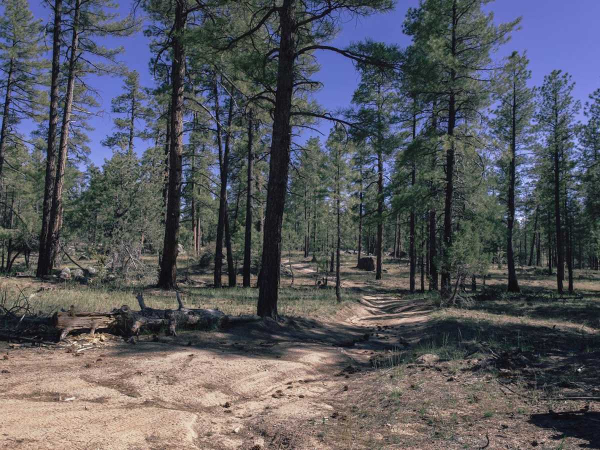Off Seep trail photo