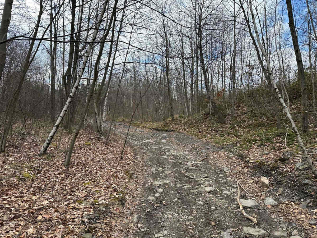 Ashland 173 trail photo