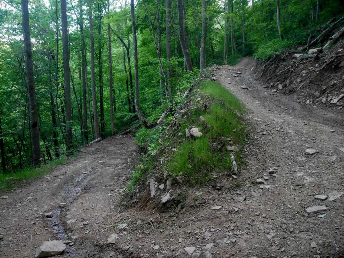 MV33 trail photo
