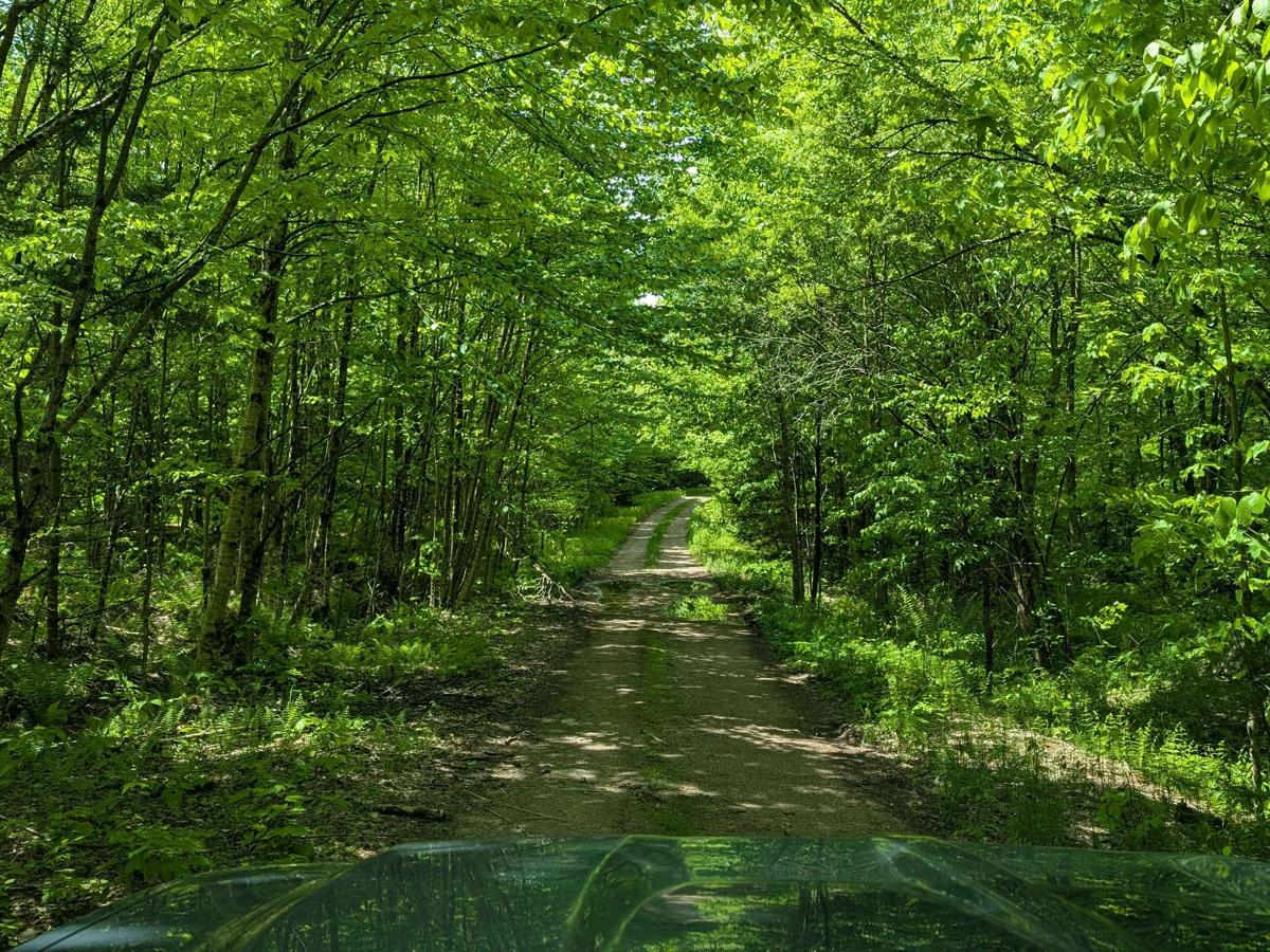Goblet Springs Road photo 2