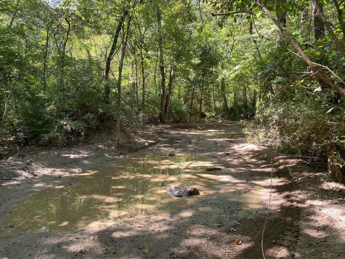 Orange Trail photo 5