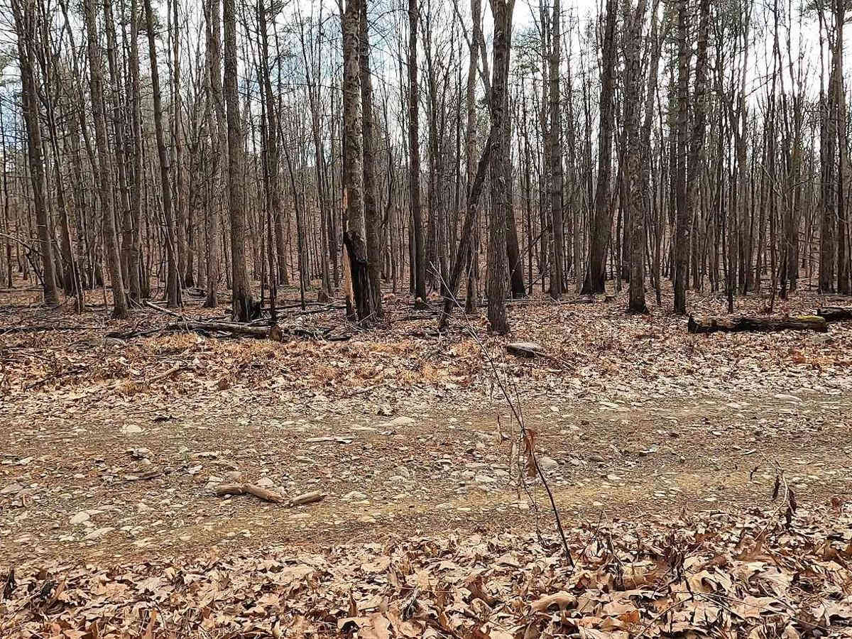 Stoney Run photo 3