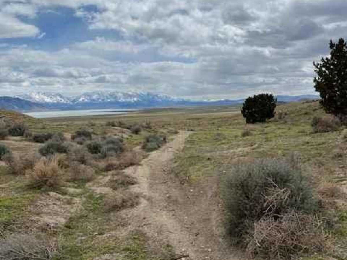 Gunsight trail photo