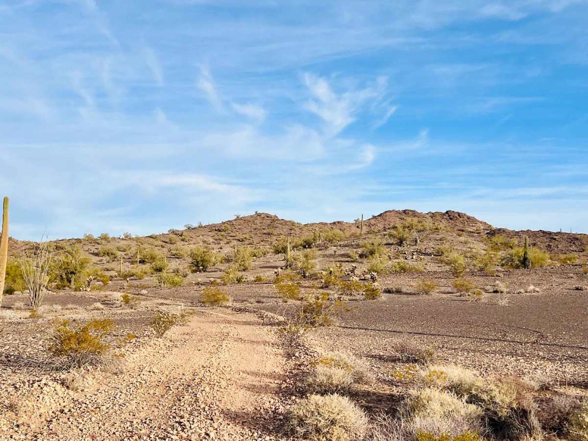 Washout Canyon trail photo