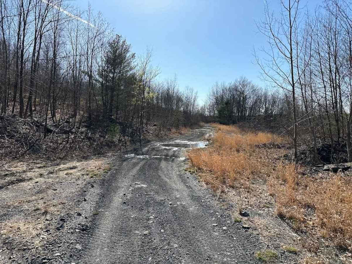 Lone Eagle Loop photo 3