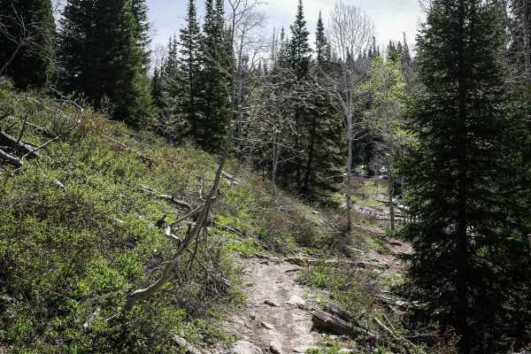 Third Water Creek #236