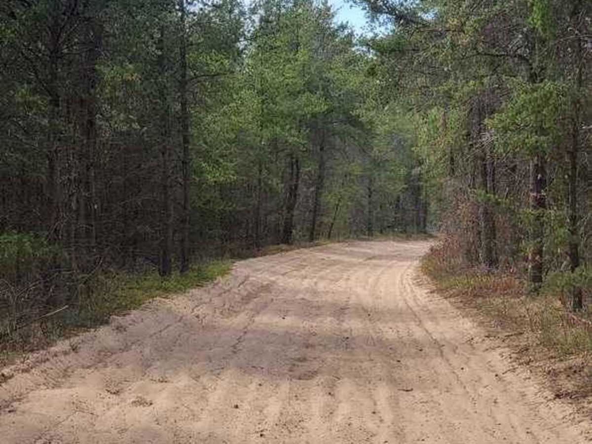 St. Helen ORV Route - West photo 3