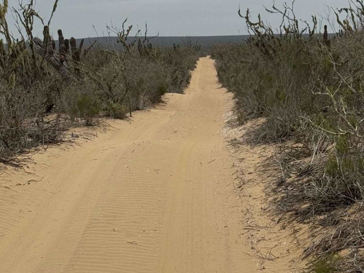 El Cayuco photo 2