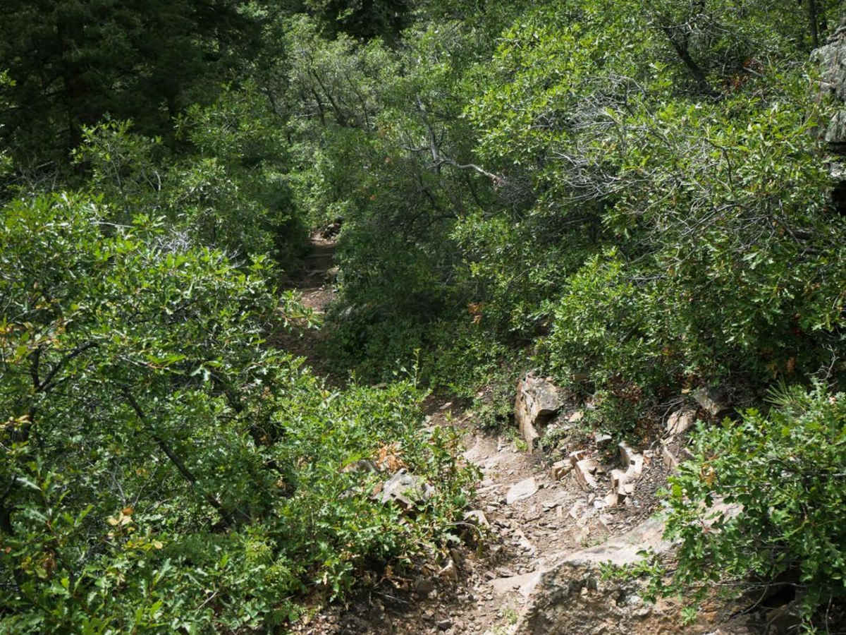 Box Canyon photo 2