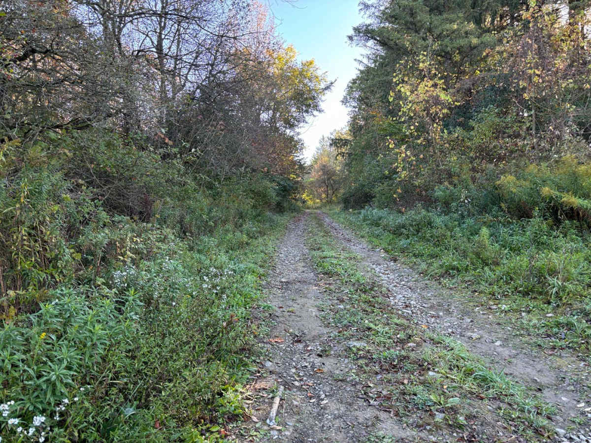 Cuyler Hill PFAR photo 5