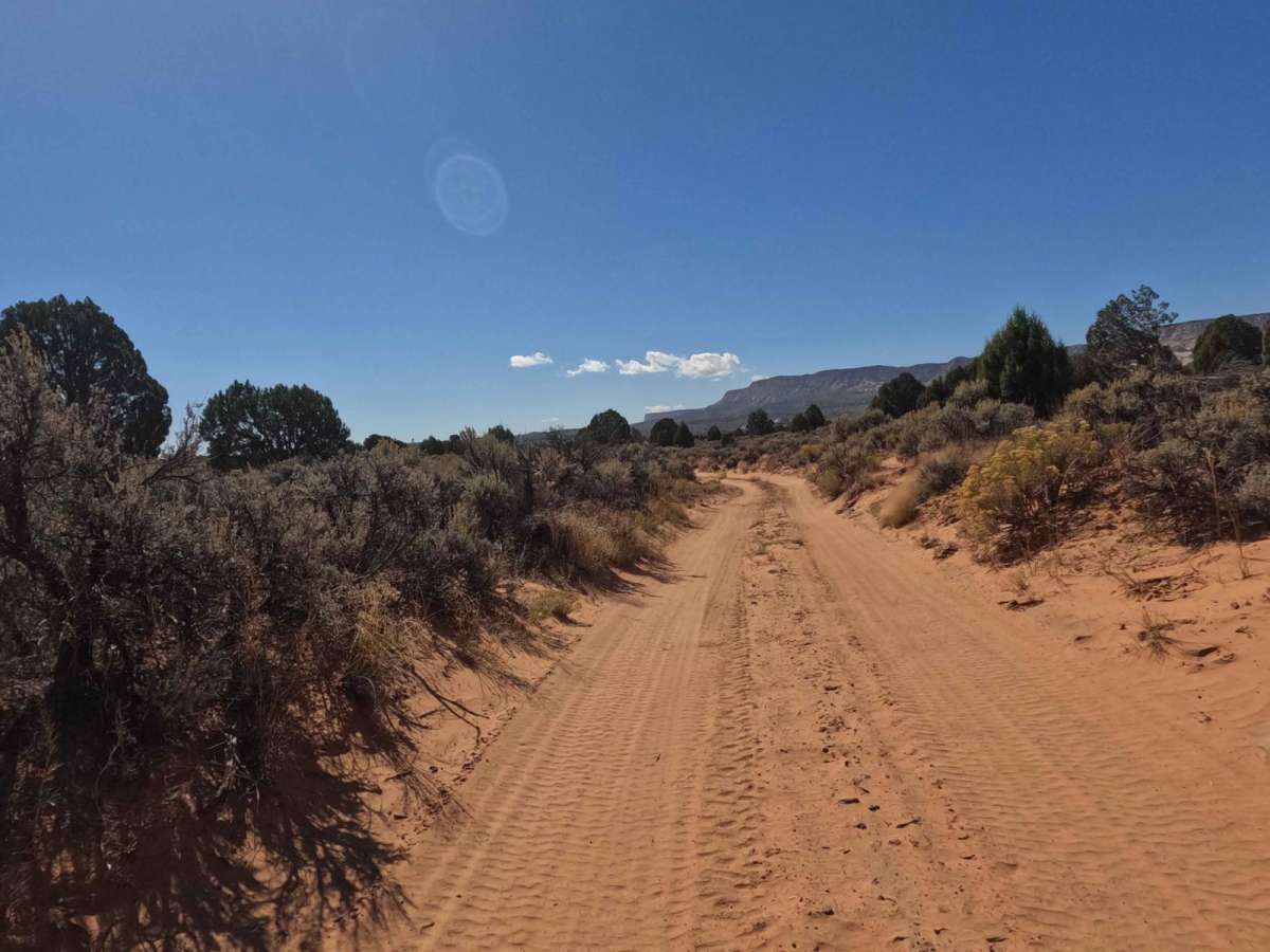 Nephi Pasture Road photo 4